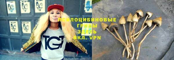 гашиш Белокуриха
