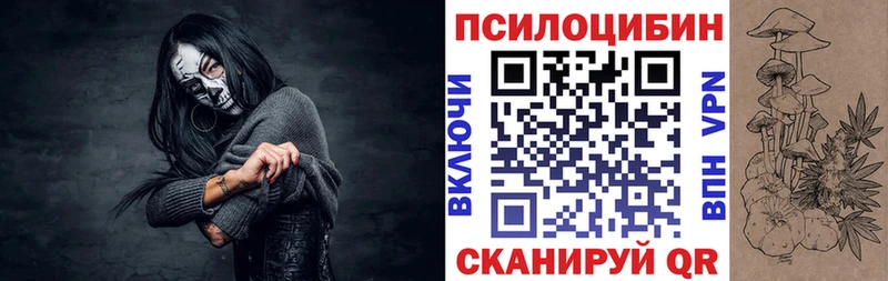 Галлюциногенные грибы Psilocybine cubensis наркотики Пионерский
